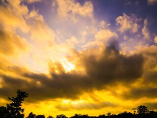 Golden Sunset Cloudscape Over The Forest Trees