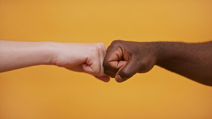Fototapeta na wymiar Fist to Fist - Black and White Hands - Partnership and Solidarity Concept. High quality photo