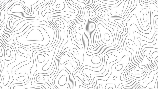 Seamless loop fractal lines background. Topographic map like abstract backdrop