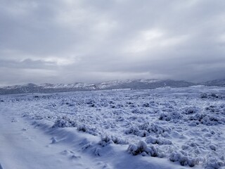 Snowy Landscape