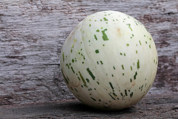 sugar baby matisse melone