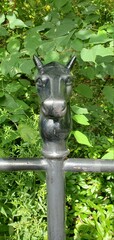 old water pump