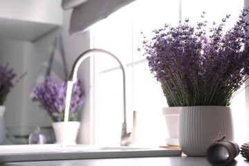 Beautiful lavender flowers on countertop near sink in kitchen. Space for text