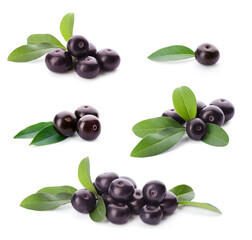 Set of fresh acai berries with green leaves on white background