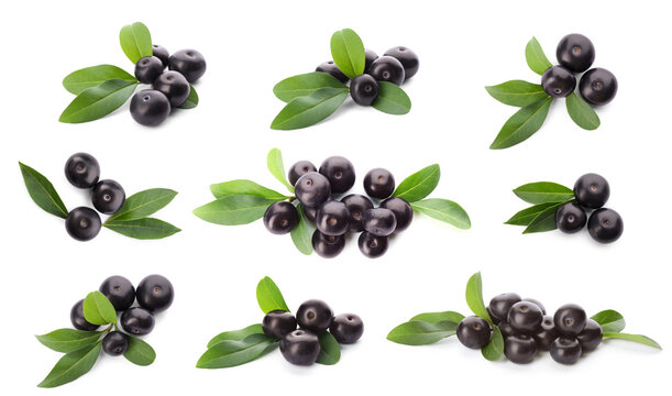 Set of fresh acai berries with green leaves on white background