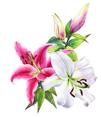 Elegant lily bouquet, pink white lilies on an isolated white background, watercolor stock illustration.	Greeting card, post card, decor.