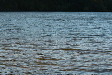 Calm waters on coastal lake.