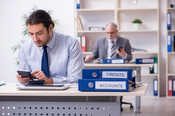 Fototapeta premium Two accountants working in the office