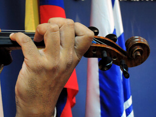 Traste del Viol&iacute;n 