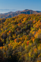 Autumn in the Great Smoky Mountains
