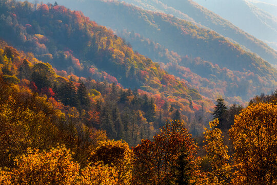 Autumn in the Great Smoky Mountains