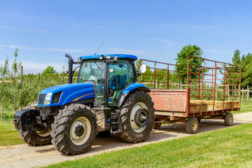 Naklejka premium Agricultural machinery on the field moves bales of hay after harvesting grain crops. Tractor loads bales of hay on trailer.