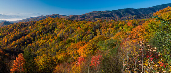 Obraz premium Autumn in the Great Smoky Mountains