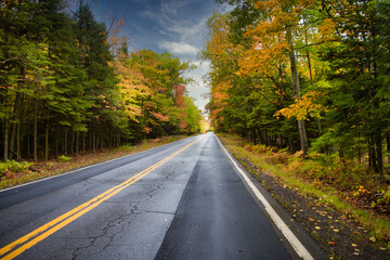 road in autumn forest after the rain 