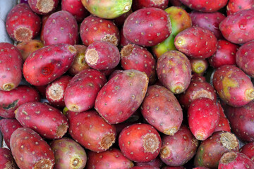 Colorful red and yellow fruit of the prickly pear nopales cactus (opuntia)