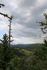 clouds over the forest