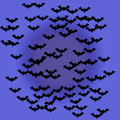 Bats in the night sky