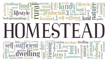 Homestead vector illustration word cloud isolated on a white background.