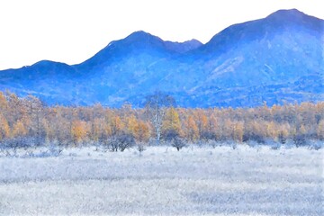 晩秋の小田代ヶ原の幻想的な情景＠日光、栃木（水彩画風）