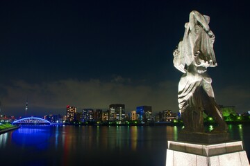 隅田川夜景　中央大橋から見る永代橋ライトアップ