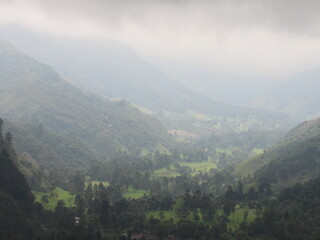 COCORA VALLEY. QUINDIO. COLOMBIA