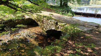 Bridge over the river