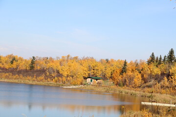 Autumn On The Shoreline, Elk Island National Park, Alberta