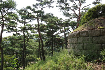Fototapeta premium old stone wall
