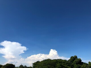 Obraz premium ある日の公園