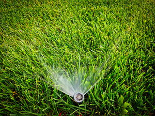 Water sprinkler with flow of water coming out of it and a lot of fresh cut green grass