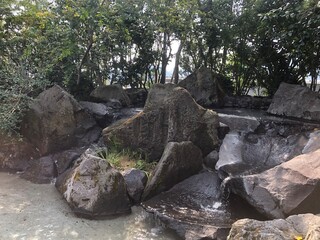 ある日の公園