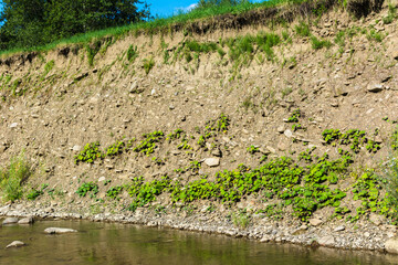 Landslide in the village. Rocks and ground are destroyed. Sunny weather. Plants die. Cataclysms. The texture of the stones. Rockfalls. Mud. Destroyed rural road landslide damaged in powerful flood.