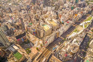 渋谷スクランブル交差点（渋谷スカイから撮影）