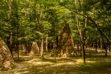 Obraz premium Cairns under shade trees woodland park.