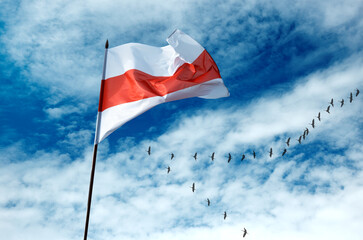 Historical flags of Belarus Republic above blue sky