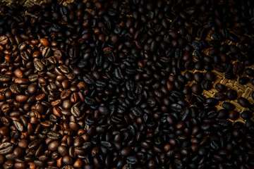 close up robusta coffee seed difference  roasted