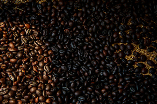 close up robusta coffee seed difference  roasted