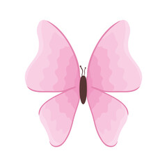 Cute pink butterfly design, Insect animal wings nature summer beauty fly and spring theme Vector illustration