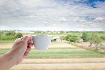 A white man's hand holding a hot coffee cup on the landscape field nature background.