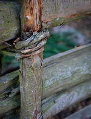 Close up of a traditional Scandinavian wooden fence. No nails only wood