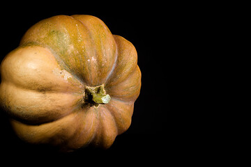 Ripe whole pumpkin