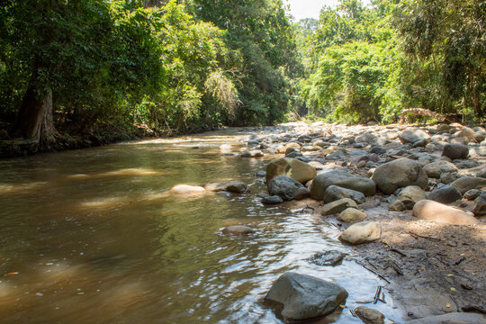 Riachuelo En Piedras