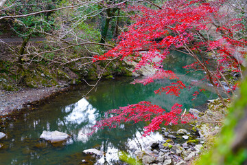 秋 小川 水紅 葉紅