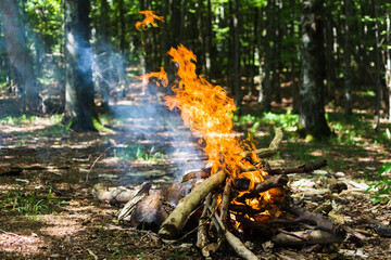A made fire in the forest. Fire flames and sparks in nature. Leisure and camping. Summer, Autumn, Spring. Burning firewood and trees.