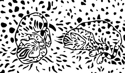 The cat pattern.Sleeping Bengal cat surrounded by leopard spots.
