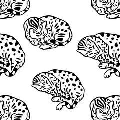 The cat pattern.Sleeping Bengal cat surrounded by leopard spots.
