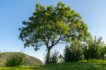The scenery of Dalian Golden Stone National Geopark and Coastal Road in late Summer