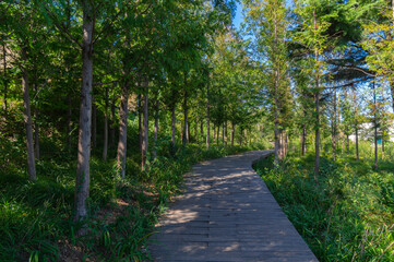 Fototapeta na wymiar The scenery of Dalian Golden Stone National Geopark and Coastal Road in late Summer
