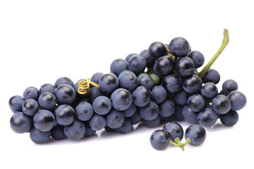 Grapes on a white background
