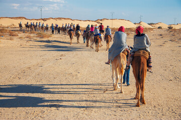 Group of tourists over dromedary camel walking in the sands